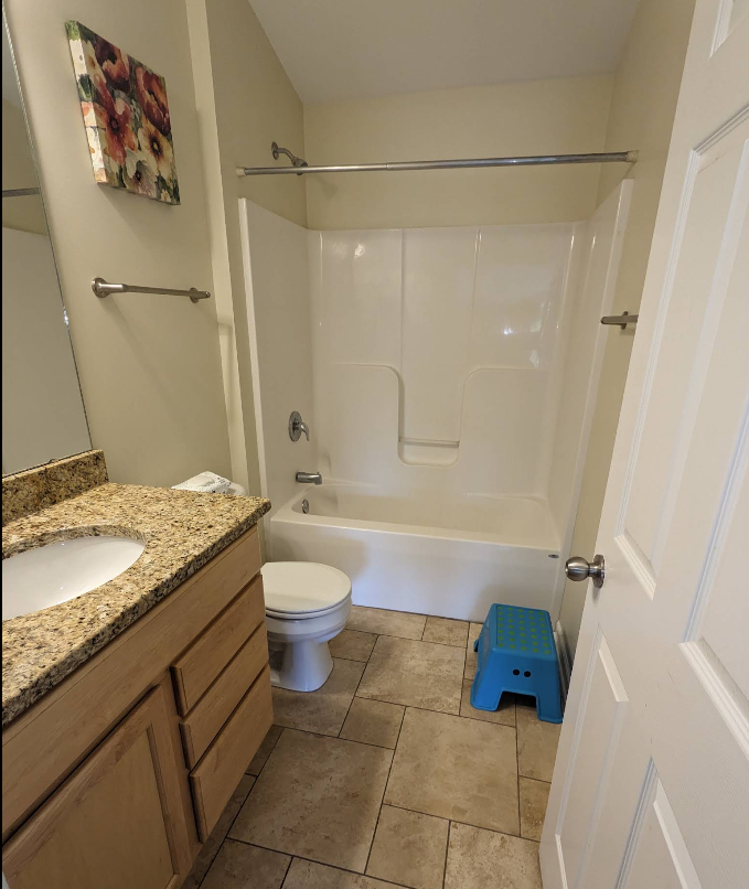 Freshly scrubbed guest bathroom with white tub-shower surround and polished vanity in Rochelle IL