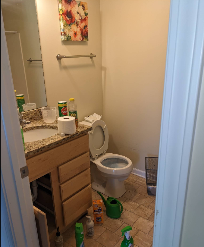 Powder room mid deep clean — sanitized toilet, vanity, and floors in Rochelle IL